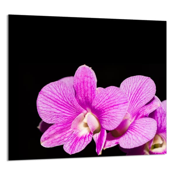 KEITTIÖN LASIPANEELI 65x60 Orchid