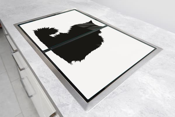 GLASBESKYTTELSESPLADE 75x52 KAT.