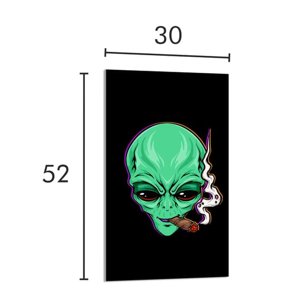 GLAS SKÄRBRÄDA 30x52 UFO