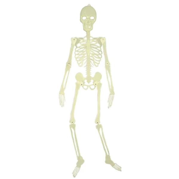 TG73003 HALLOWEEN FLUO SKELETON