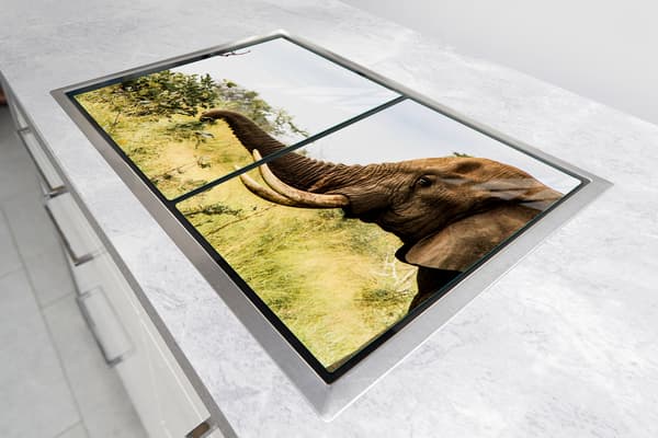 GLASSKYDDSPLATT FÖR SPIS 85x52 ELEFANT