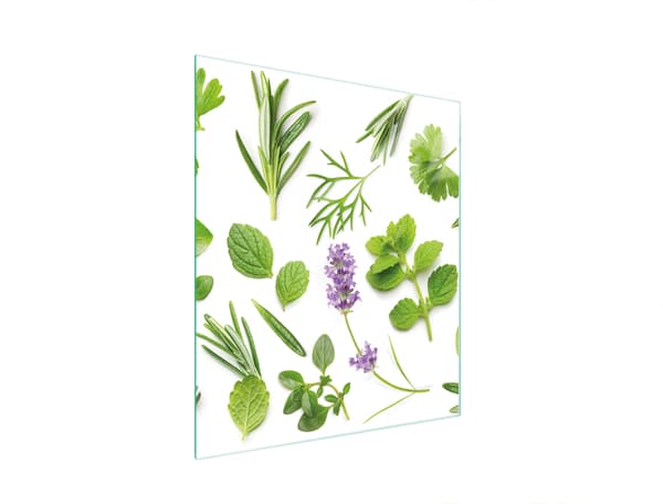 SKÄRBRÄDA I GLAS 45x52 VÄXTER