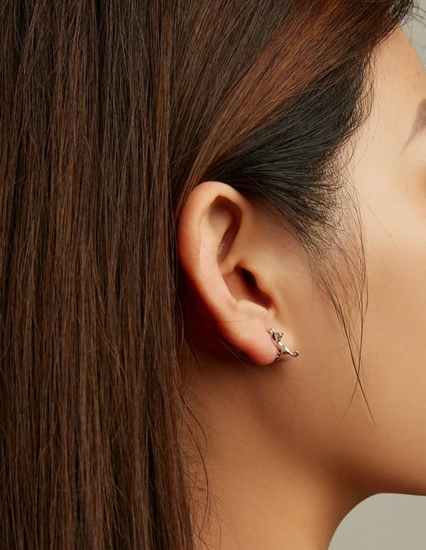 Pendientes de plata Pendientes de gato Plata S925