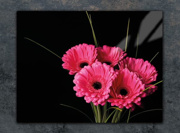 LASINEN LEIKKUULAUTA 52x40 GERBERA