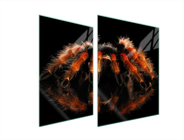 LASINEN SUOJALEVY LIEDELLE 70x52 SPIDER