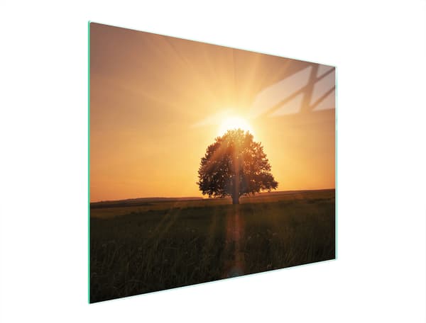 GLAS SKÆREBRÆT 52x40 TRÆ