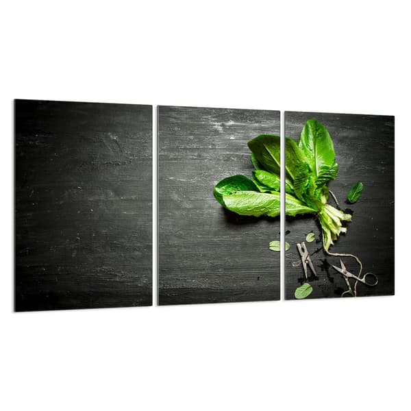 Skyddsplatta i glas för spis 3x30x52