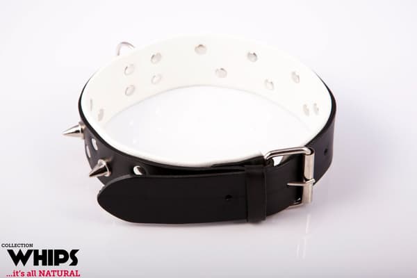 Herrhalsband med koppel Vit