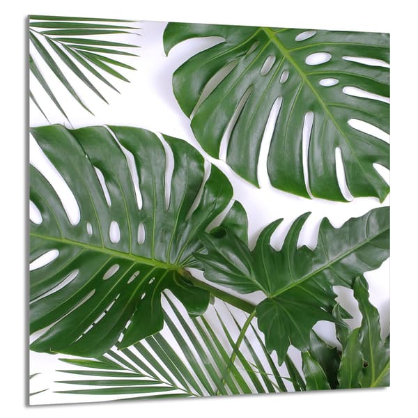 KEITTIÖN LASIPANEELI 60x65 Monstera