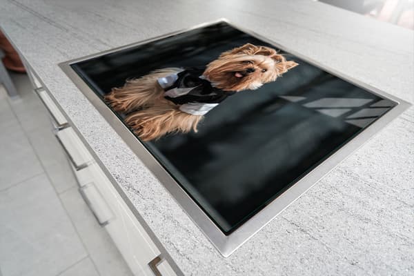 SKÄRBRÄDA I GLAS 52x30 HUND