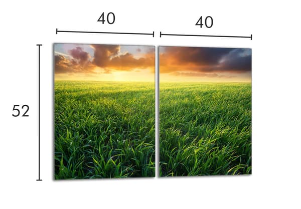 Skyddsplatta i glas för kaminen 2x40x52 Visa