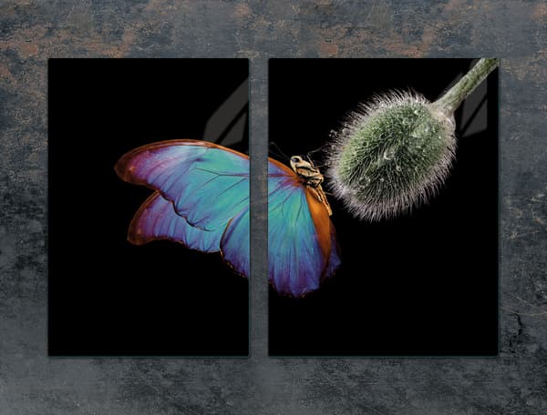 GLASBESKYTTELSESPLADE 75x52 BUTTERFLY