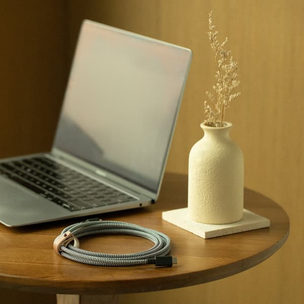 Native Union bæltekabel XL 100W - USB-C - USB-C kabel, 3 m (zebra)