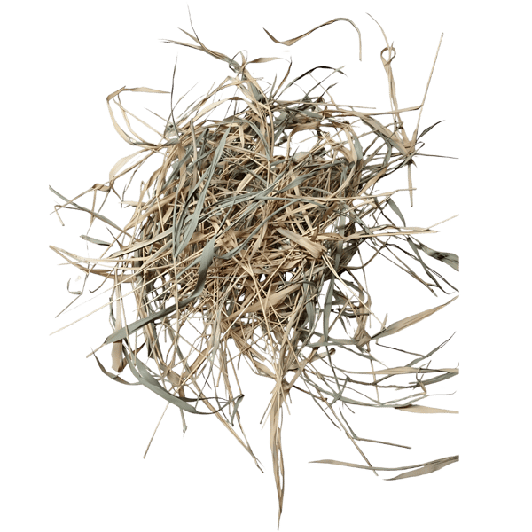 Tørrede bambusblade 1 l
