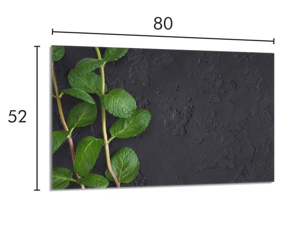 Glasskydd för spishäll 80x52 Mint