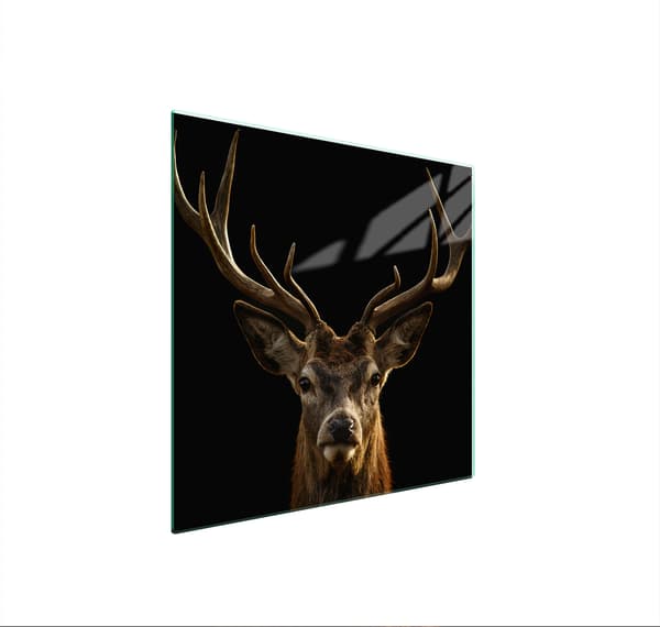 LASINEN SUOJALEVY LIEDELLE 50x52 DEER