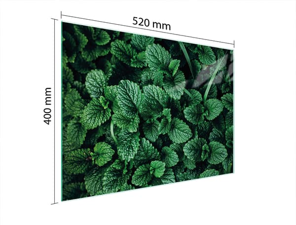 SKÄRBRÄDA I GLAS 52x40 MELISA