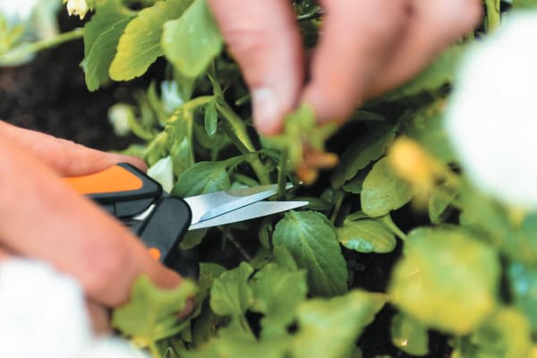 Fiskars Solid Havesaks Håndholdt Blomstersaks med Fjeder
