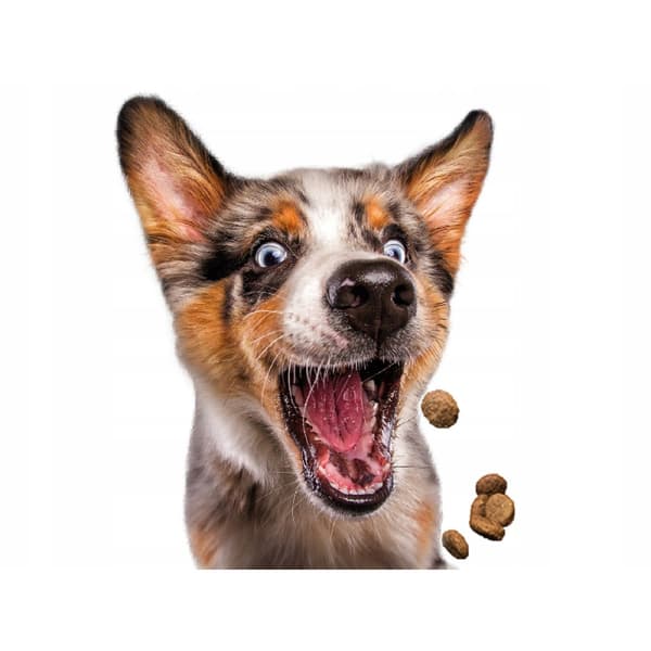 Josera JosiDog Agilo Sport tørfoder til hunde 15 kg