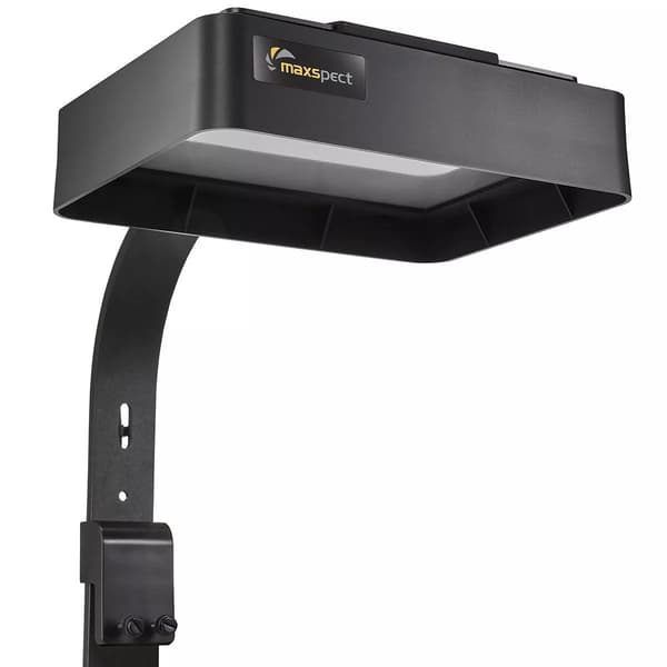 Maxspect MJ-L165 -hajotin