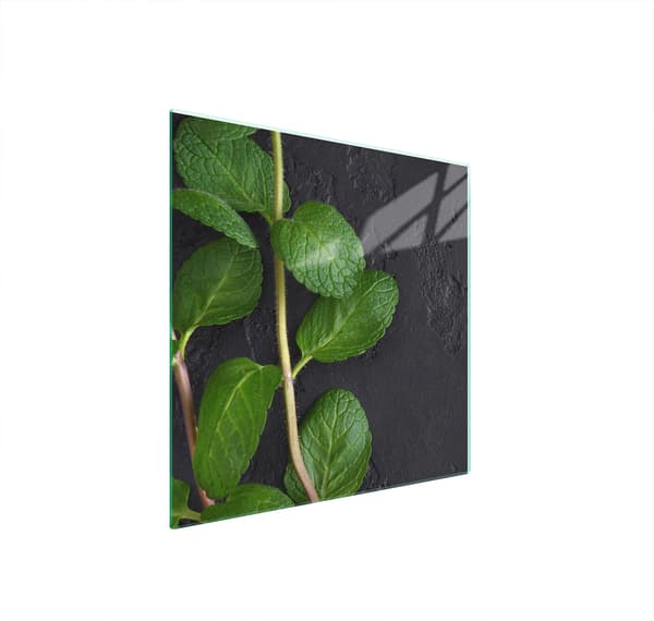 GLASBESKYTTELSESPLADE TIL KOMFUR 50x52 MINT