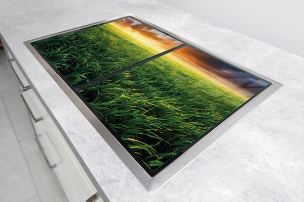 GLASBESKYTTELSESPLADE 75x52 VISNING