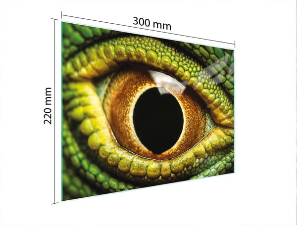 LASINEN LEIKKUULAUTA 30X22 SILMÄ