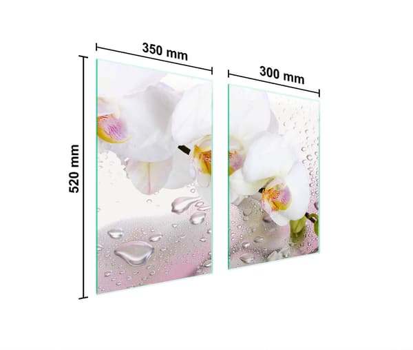 GLASSKYDDSPLATTA FÖR KÖK 65x52 ORCHID