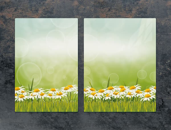 LASISUOJALEVY 75x52 DAISY