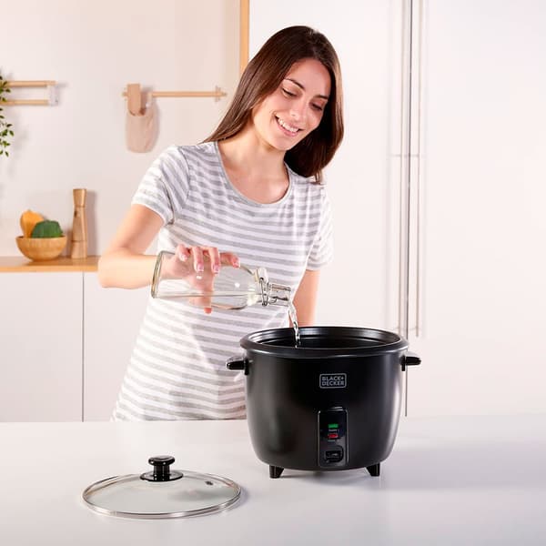 Black Decker BXRC1800E riskoger