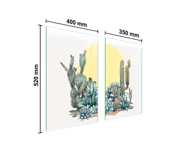 GLASSKYDDSPLÅT FÖR SPIS 75x52 CACTUS