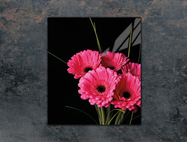 LASINEN LEIKKUULAUTA 45x52 GERBERA