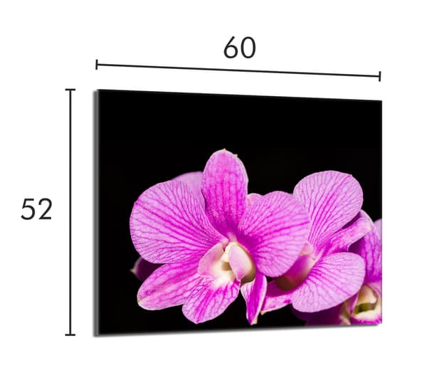 Lasinen suojalevy liedelle 60x52 Orchidea