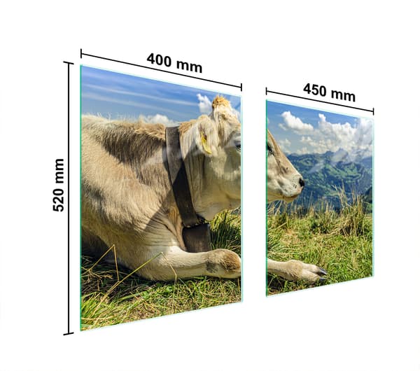 LASINEN SUOJALEVY LIEDELLE 85x52 COW