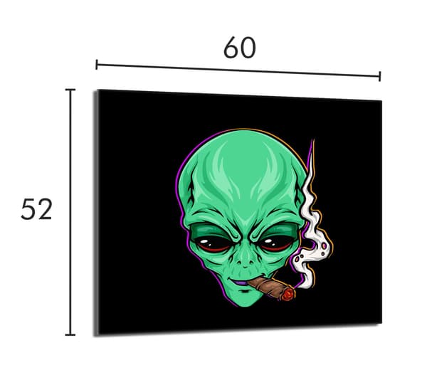 Lasinen suojalevy liedelle 60x52 UFO