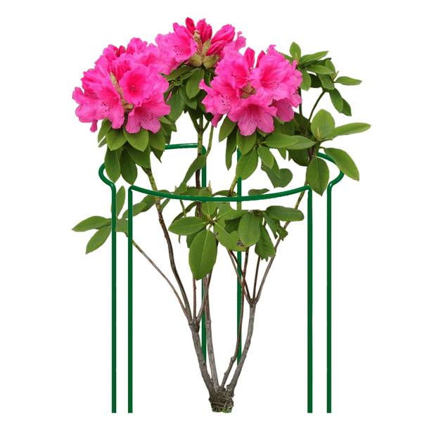 ELGarden blomställning S 45x15 cm