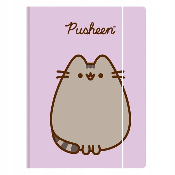 Kansio kuminauhalla A4 St. Majewski 300g/m2 CAT PUSHEEN