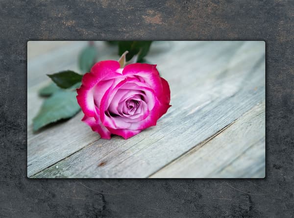 SKÄRBRÄDA I GLAS 52x30 ROSA