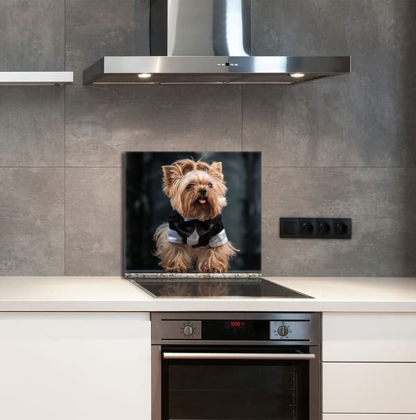 GLASPANEL FÖR KÖK 65x60 Hund