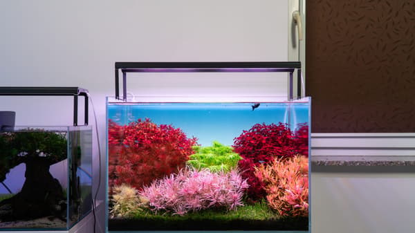 Skylight Hyperbar Fresh FM 45H LED-belysning med fast beslag