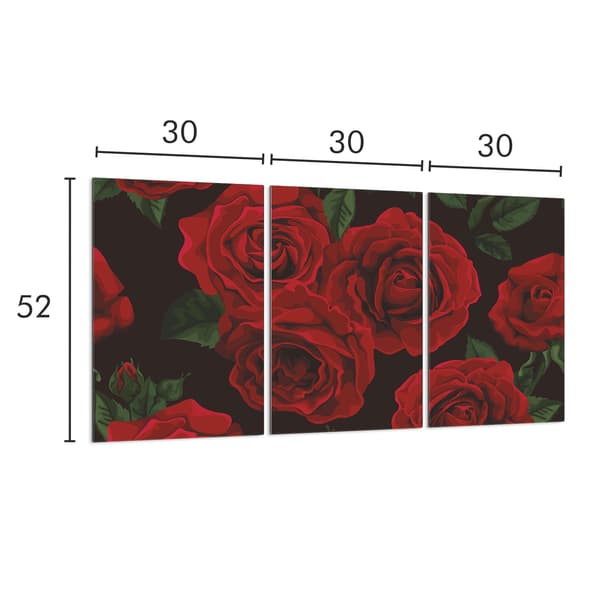 Lasinen suojalevy liedelle 3x30x52