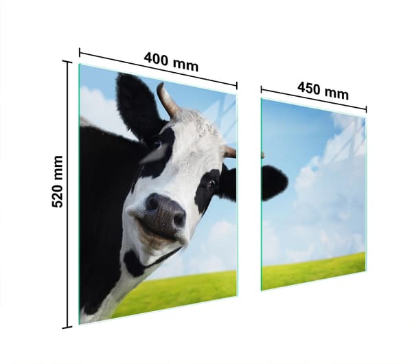 LASINEN SUOJALEVY LIEDELLE 85x52 COW