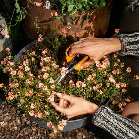 Fiskars solid havesaks til at klippe, beskære og trimme planter og blomster