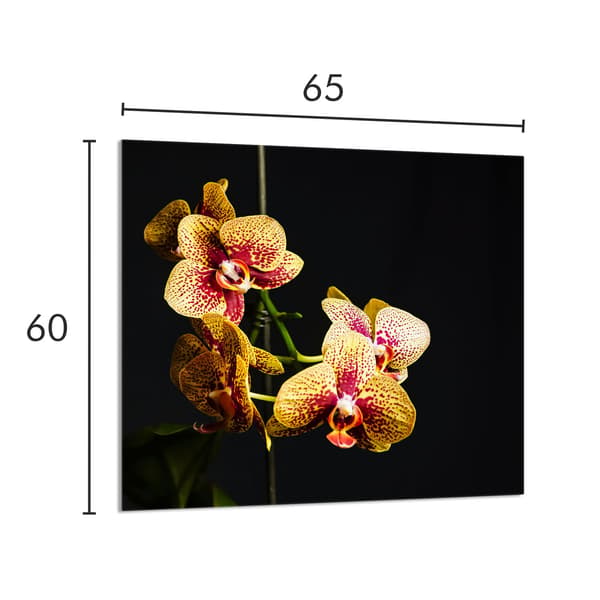 KEITTIÖN LASIPANEELI 65x60 Orchid