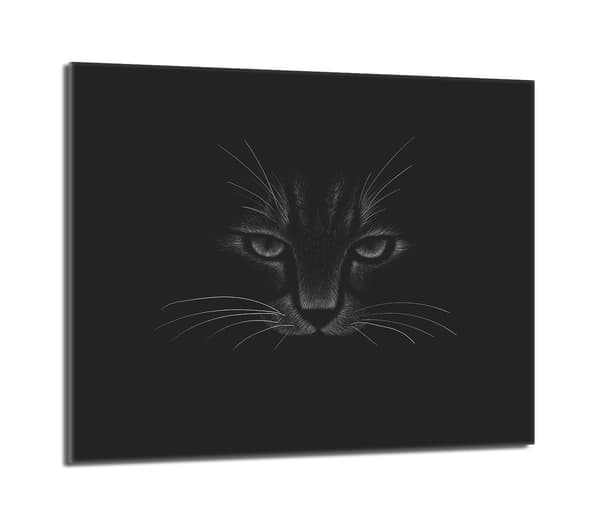 Lasinen suojalevy liedelle 60x52 Cat