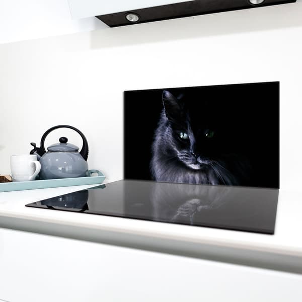 Lasinen suojalevy liedelle 90x52 Cat