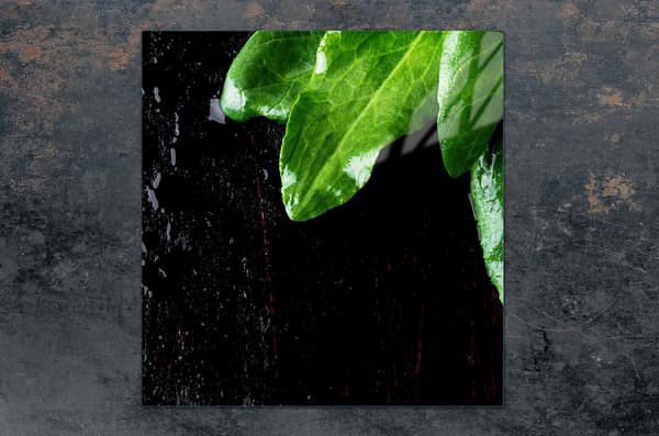 GLASBESKYTTELSESPLADE TIL KOMFUR 50x52 BASIL