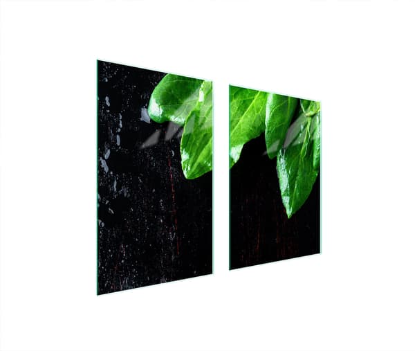 GLASSKYDDSPLATTA FÖR KÖK 65x52 BASILIK