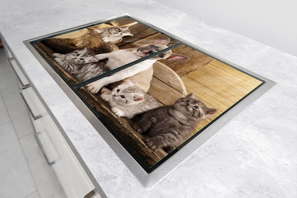 GLASBESKYTTELSESPLADE 75x52 HUND
