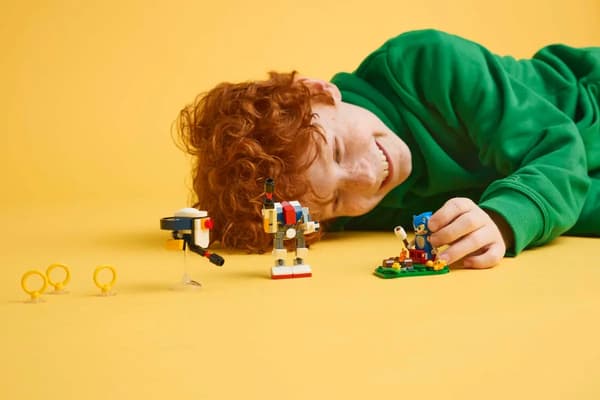 LEGO Sonic the Hedgehog - Sonic og bivakotsbiten